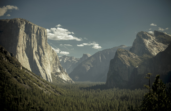 Yosemite National Park