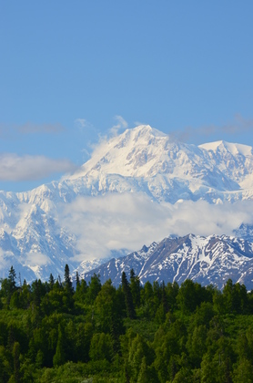 Denali National Park