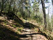 Great Smoky Mountains National Park