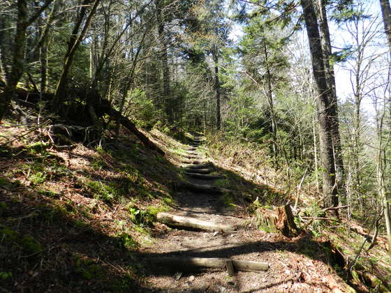 Great Smoky Mountains National Park