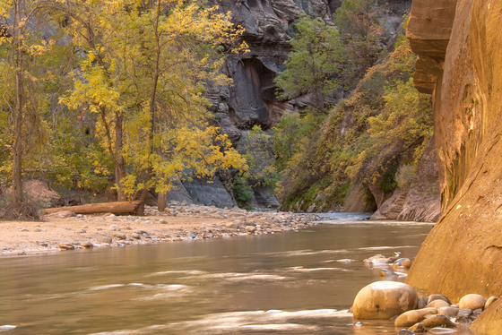 Zion National Park