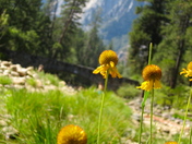 Yosemite National Park