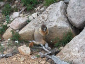 Rocky Mountain National Park