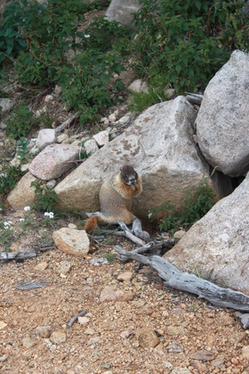 Rocky Mountain National Park