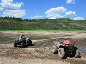 caribou-targhee national forest