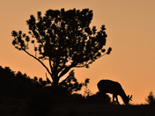 Rocky Mountain National Park