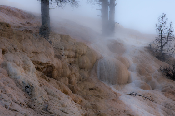 Yellowstone National Park