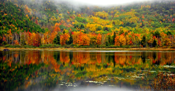 Acadia National Park