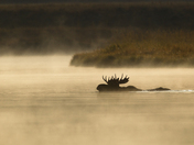 Grand Teton National Park