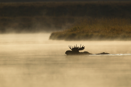 Grand Teton National Park