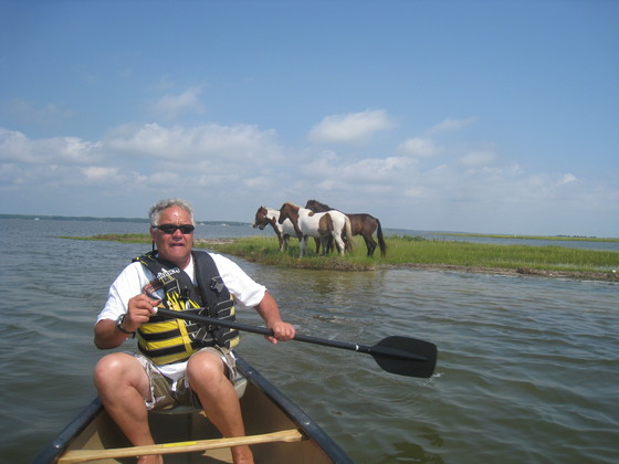 Assateague Island National Seashore