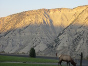 Yellowstone National Park