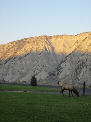 Yellowstone National Park