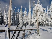 Chief Joseph, Montana