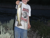 Bridger Teton National Forest