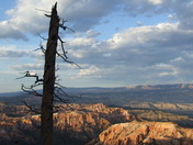 Bryce National Park