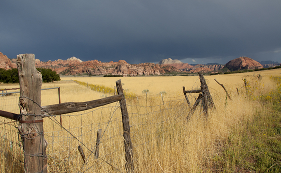 Zion National Park