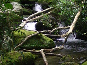 Great Smoky Mountains National Park