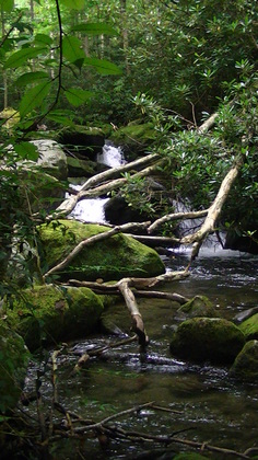 Great Smoky Mountains National Park