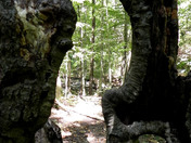 Buffalo National River