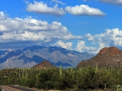 Saguaro National Park