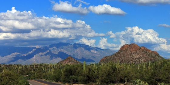Saguaro National Park