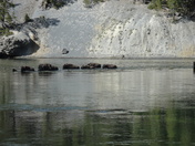 Yellowstone National Park