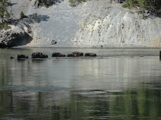 Yellowstone National Park