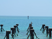Fort Jefferson Dry Tortugas