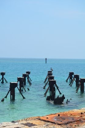 Fort Jefferson Dry Tortugas