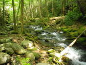 Great Smoky Mountains National Park