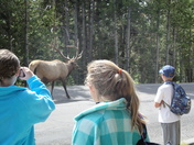 Yellowstone National Park