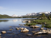 Shoshone National Forest