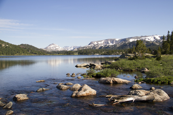 Shoshone National Forest