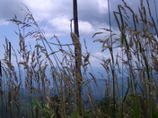 Great Smoky Mountains National Park