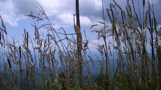 Great Smoky Mountains National Park