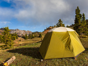 Uncompahgre National Forest