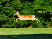 Arkansas Post National Memorial