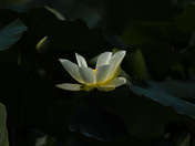 Arkansas Post National Memorial