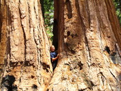 Yosemite National Park