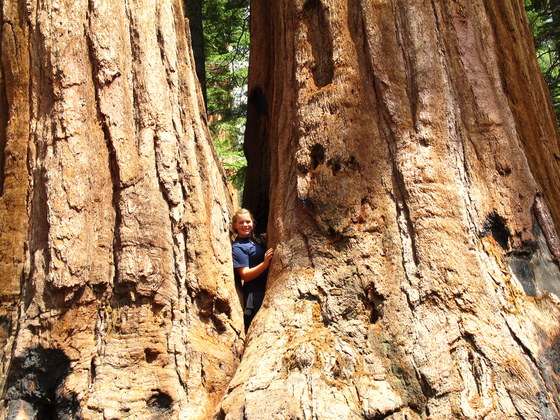 Yosemite National Park