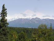 Denali National Park