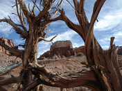 Capitol Reef Park