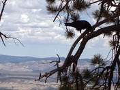 Bryce Canyon National Park