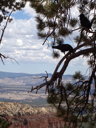 Bryce Canyon National Park