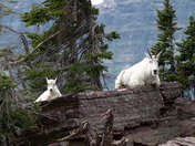 Glacier National Park