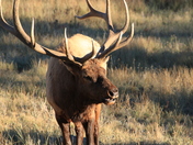 Rocky Moutain National Park
