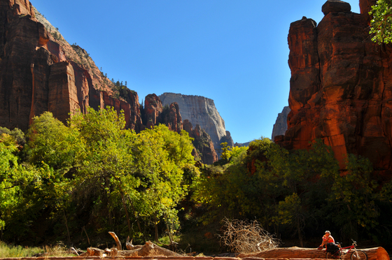 Zion National Park