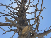 Bryce Canyon National Park