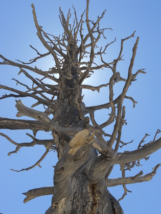Bryce Canyon National Park
